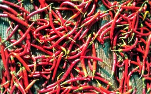 A Flavourful Partnership: UCan Grow Africa Extends Gratitude to Crown Foods